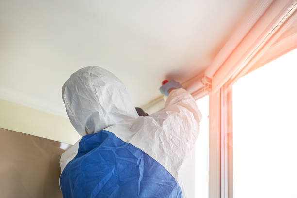 Best Attic Mold Removal in Winnsboro Mills, SC