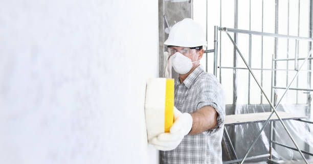 Trusted Winnsboro Mills, SC Mold Removal Experts