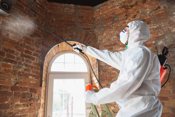 Best Environmental Consulting for Mold Prevention in Winnsboro Mills, SC