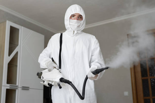 Best Forensic Mold Investigation in Winnsboro Mills, SC